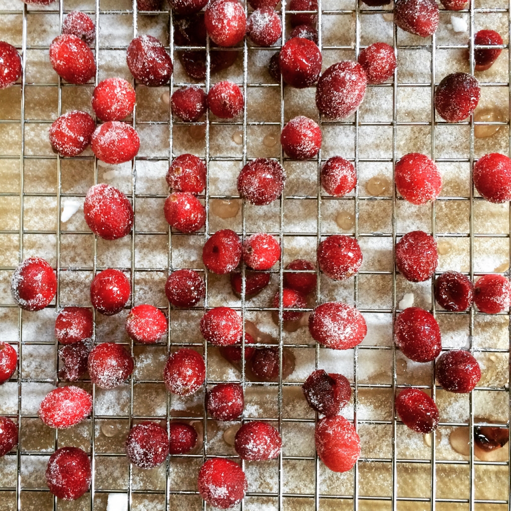 Gesuikerde cranberry's