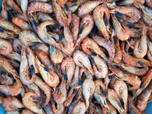 Grijze garnalen Vishandel De Vis / www.eenlepeltjelekkers.be