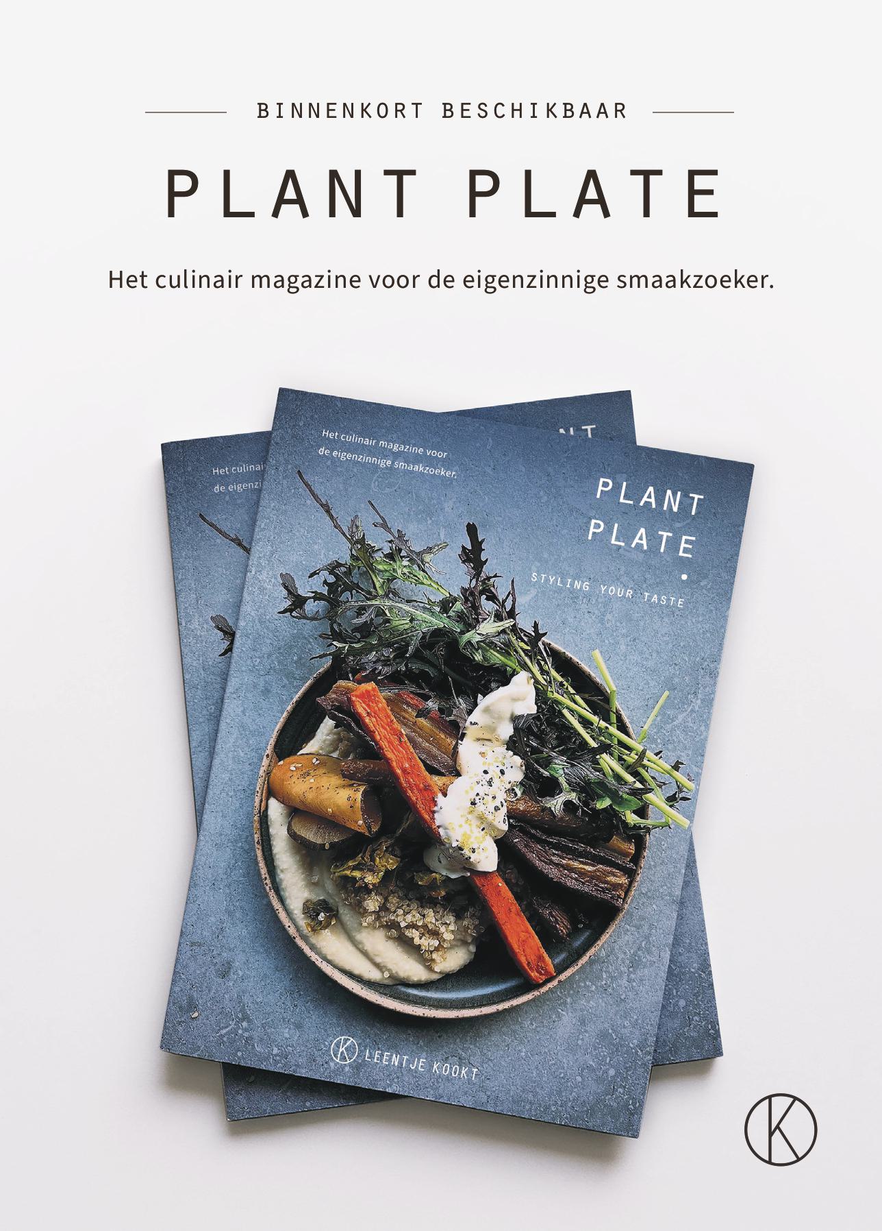 Magazine Plant plate